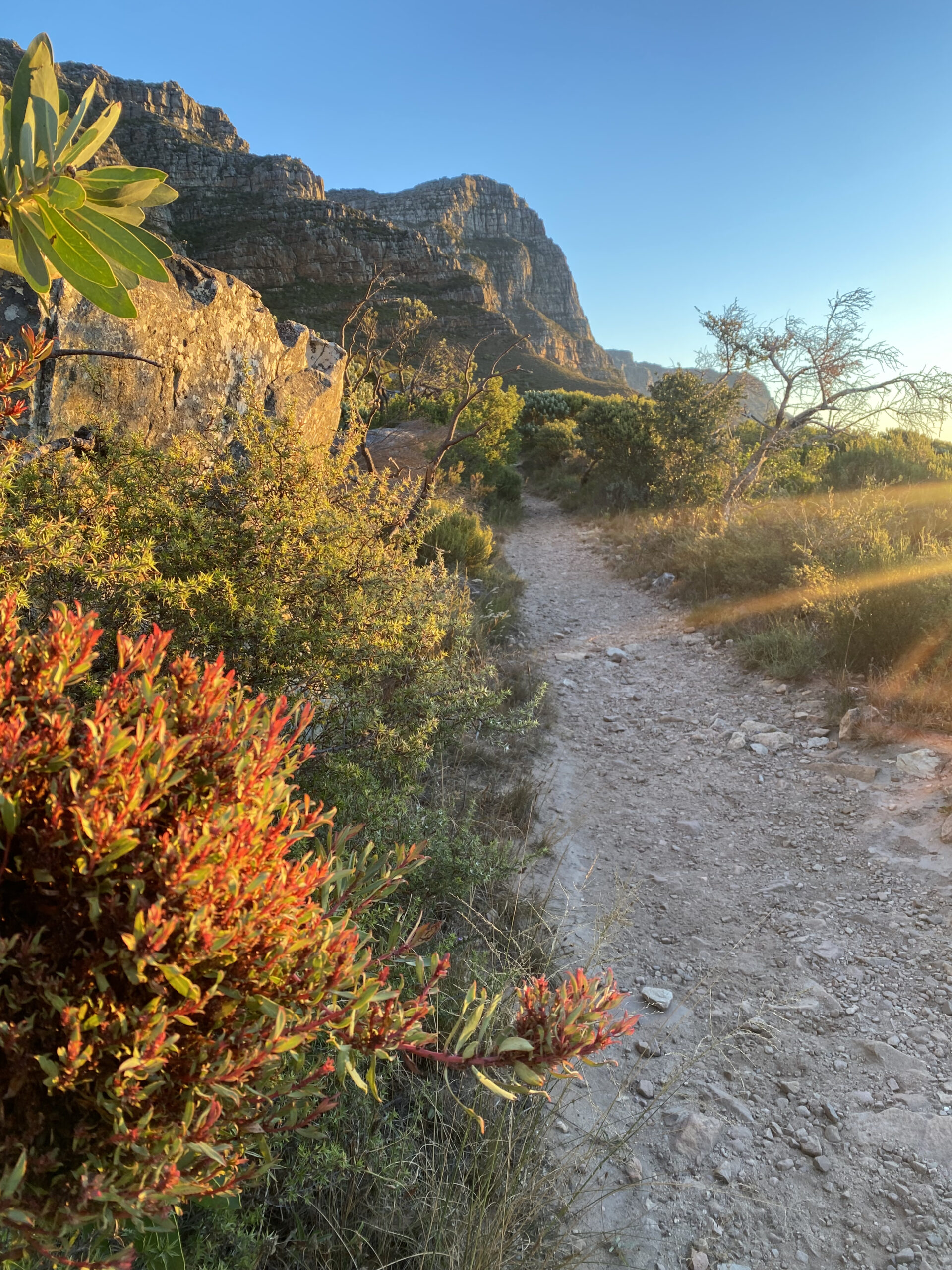 Popular Hikes in Cape Town