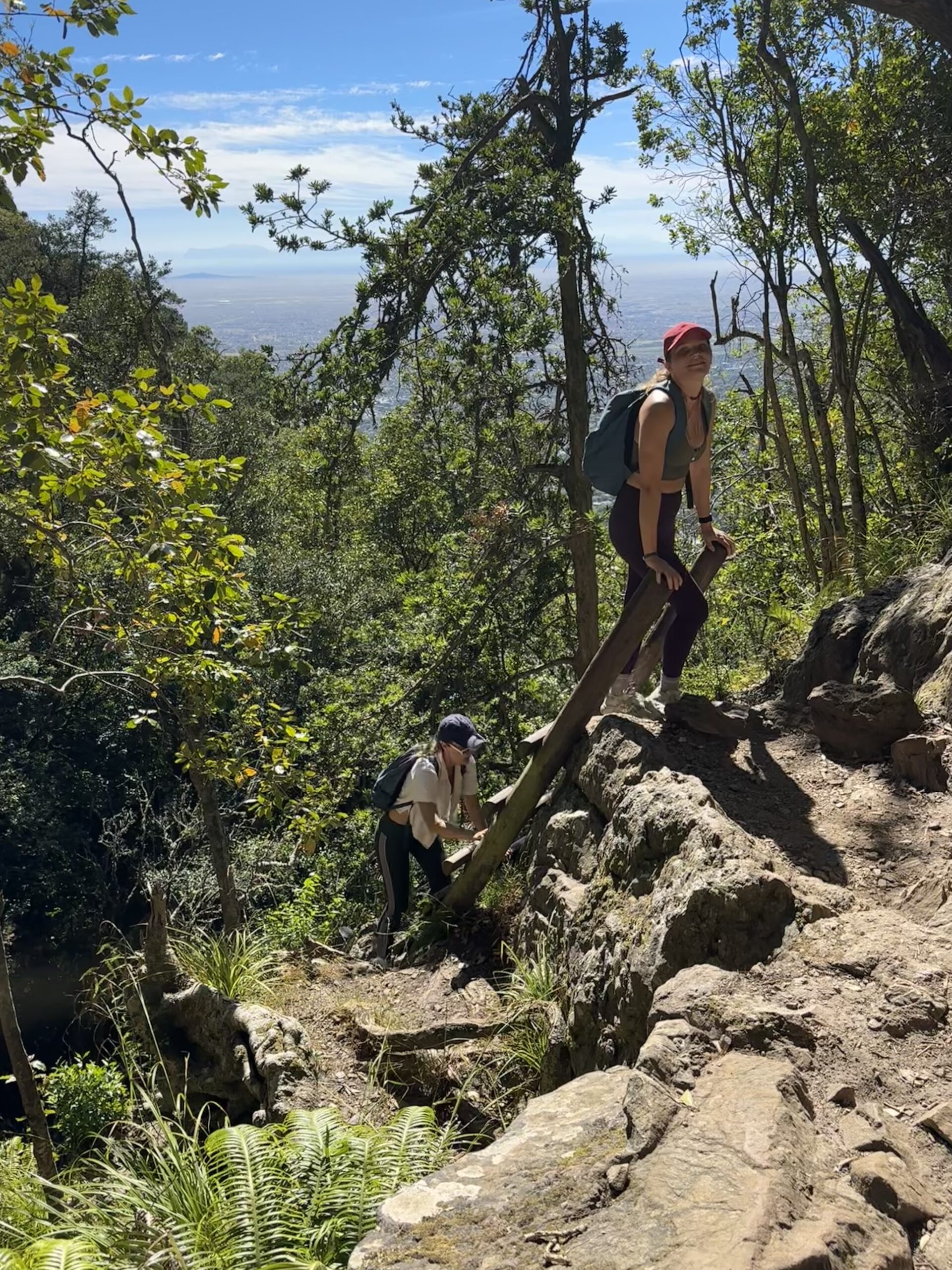Skeleton Gorge ladder