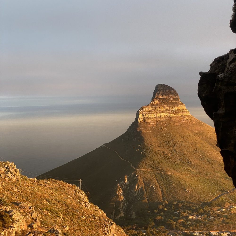 Lion's Head from India Venster