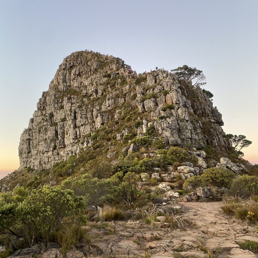 Nose of the Lion