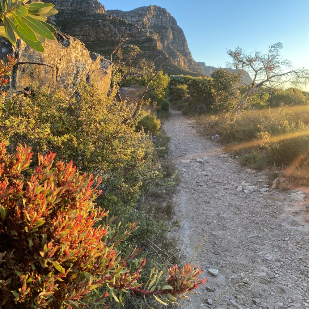 Popular Hikes in Cape Town