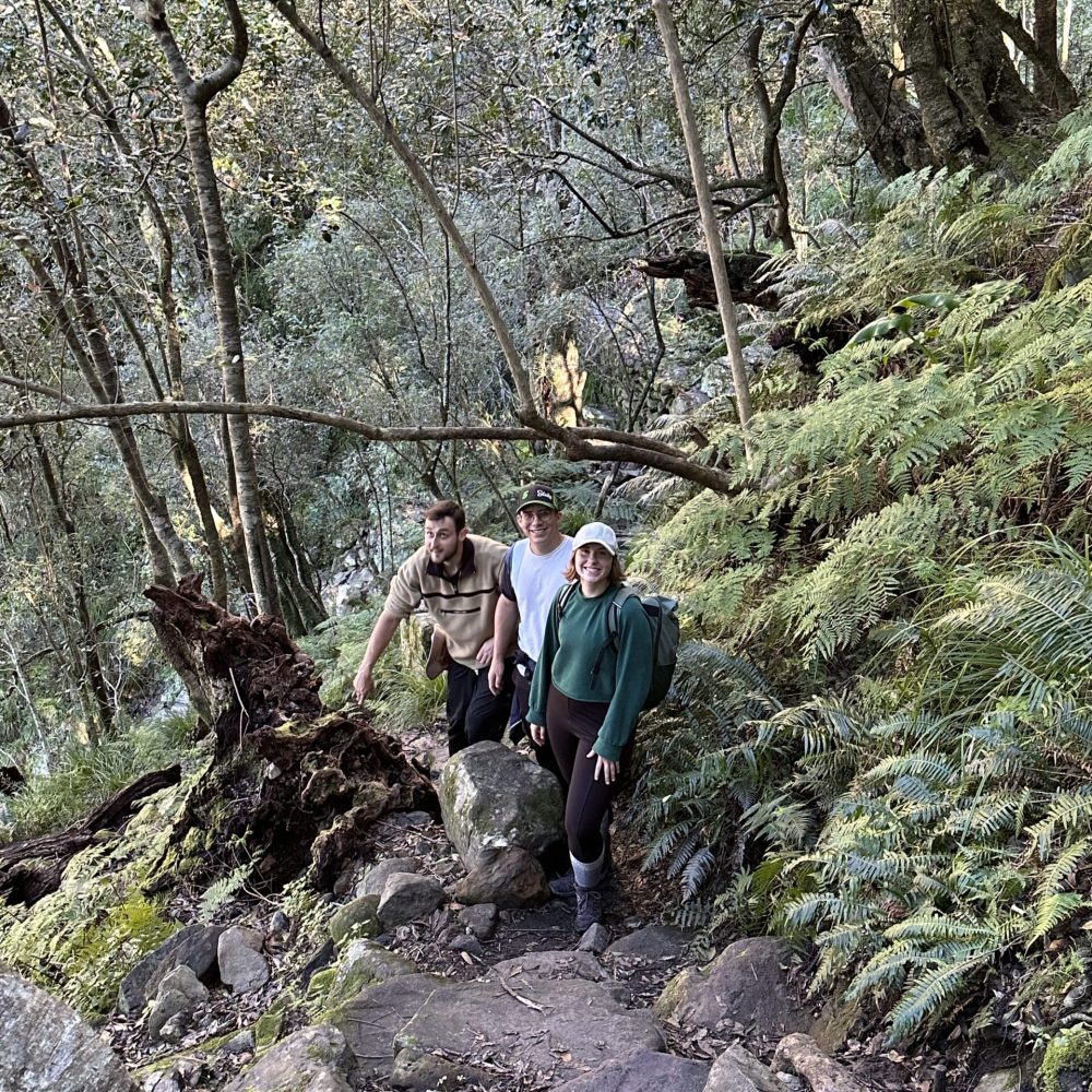 Skeleton Gorge forest