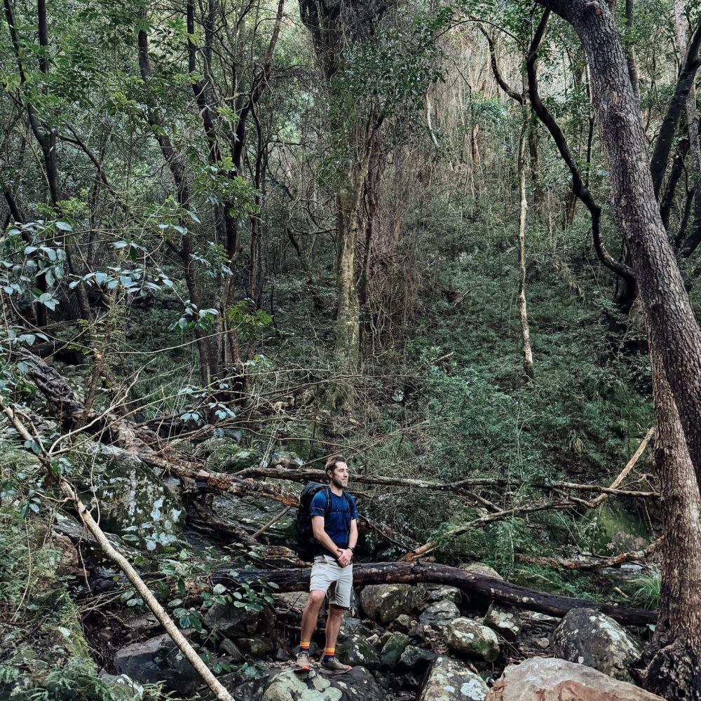 Skeleton Gorge guide