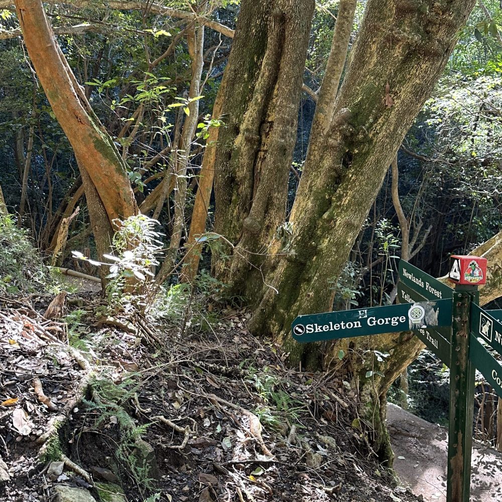 Skeleton Gorge sign